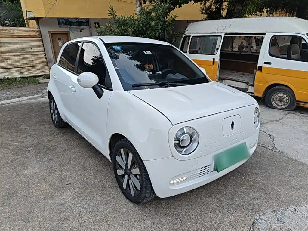 Euler Black Cat 2019 351km parent-child version купить на сайте DeffCars