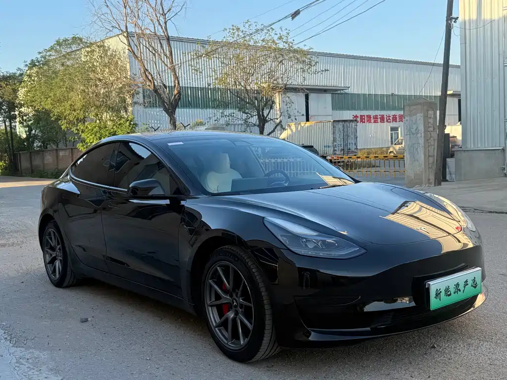 Model 3 2022 rear-wheel drive version купить на сайте DeffCars