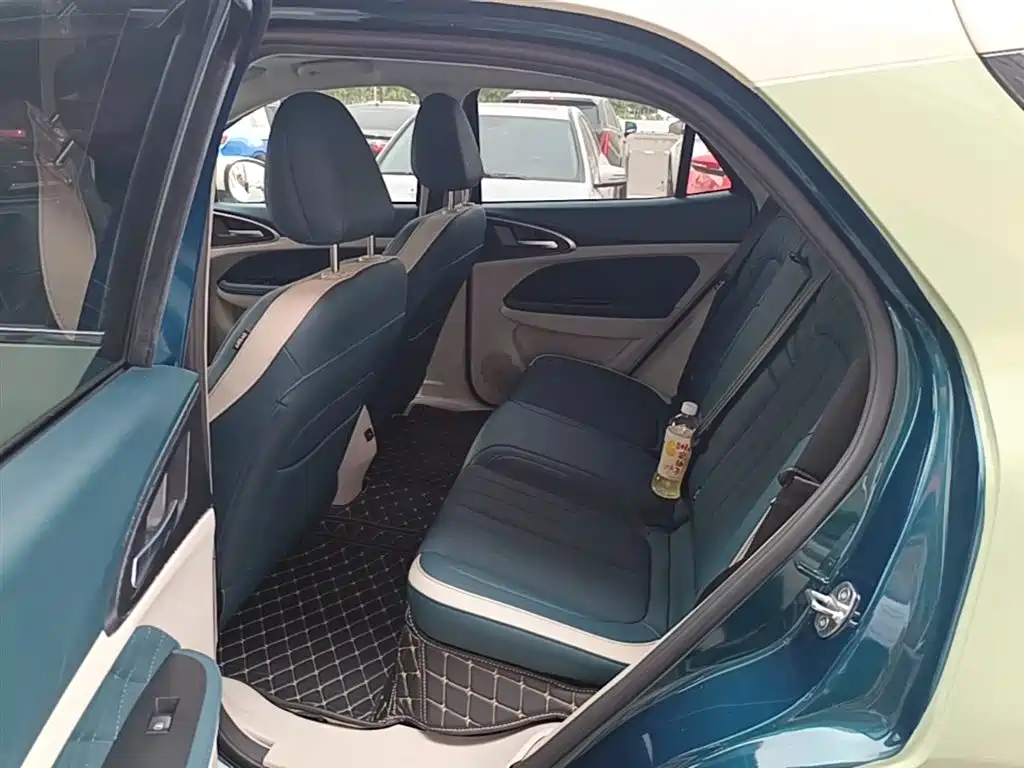 Euler Good Cat 2021 model 400km standard battery life Athena version ternary lithium купить на сайте DeffCars