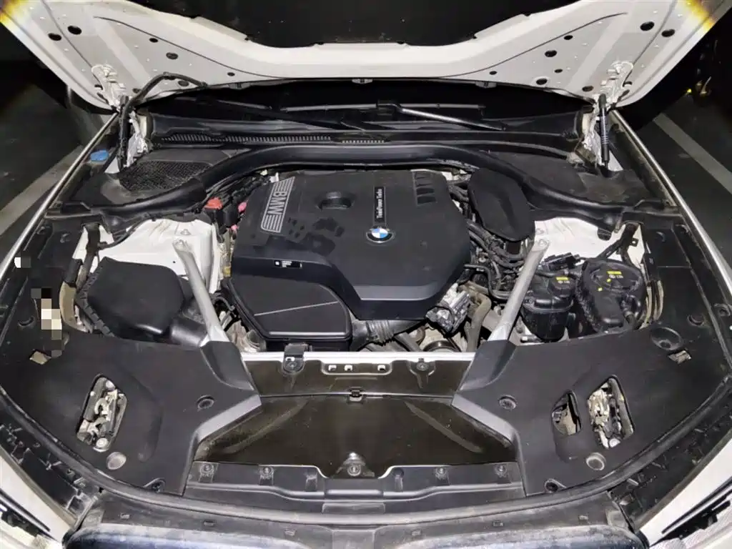 BMW 5 Series 2020 530Li Leading M Sports Package купить на сайте DeffCars