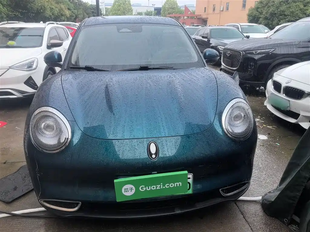 Euler Good Cat 2023 model 401km standard battery life luxury model lithium iron phosphate купить на сайте DeffCars