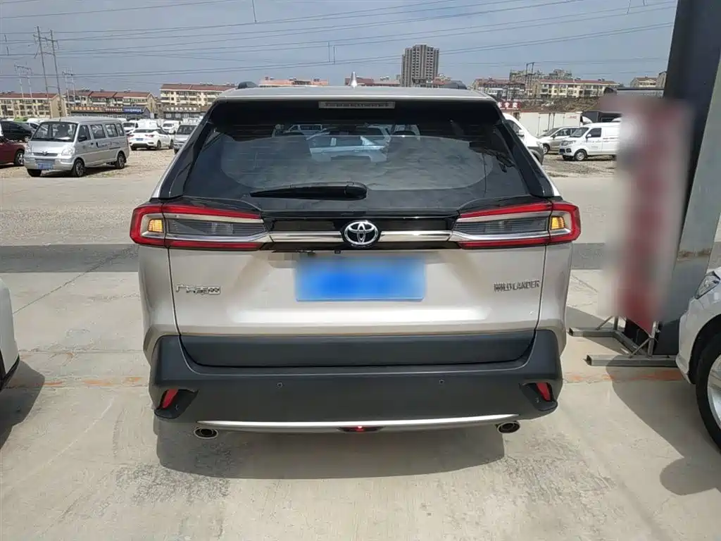 Wilanda 2020 2.0L CVT two-wheel drive luxury version купить на сайте DeffCars