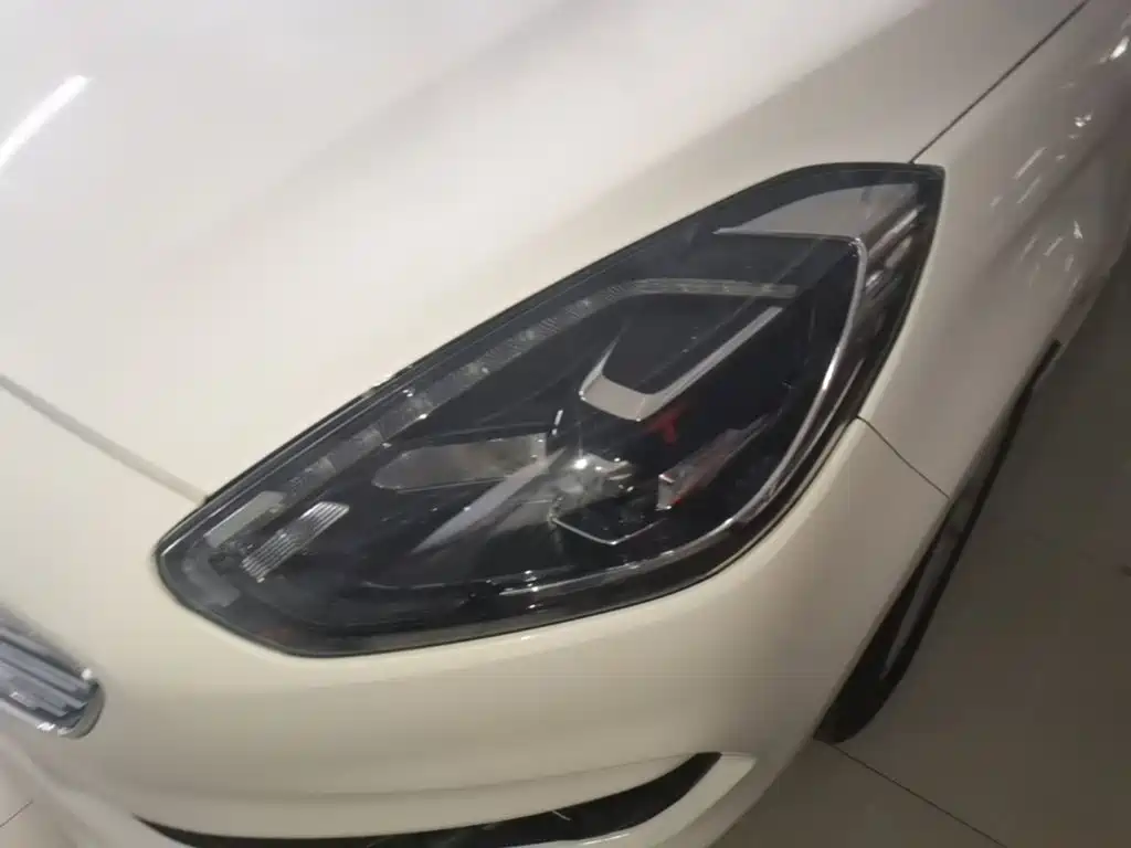 Forex 2019 facelift 1.5L automatic enjoyment type National VI купить на сайте DeffCars
