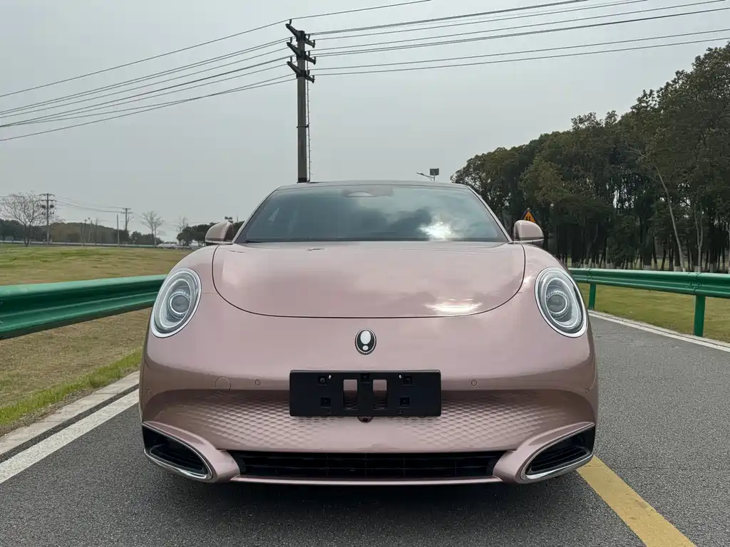 Euler Lightning Cat 2022 555km Premium Edition купить на сайте DeffCars