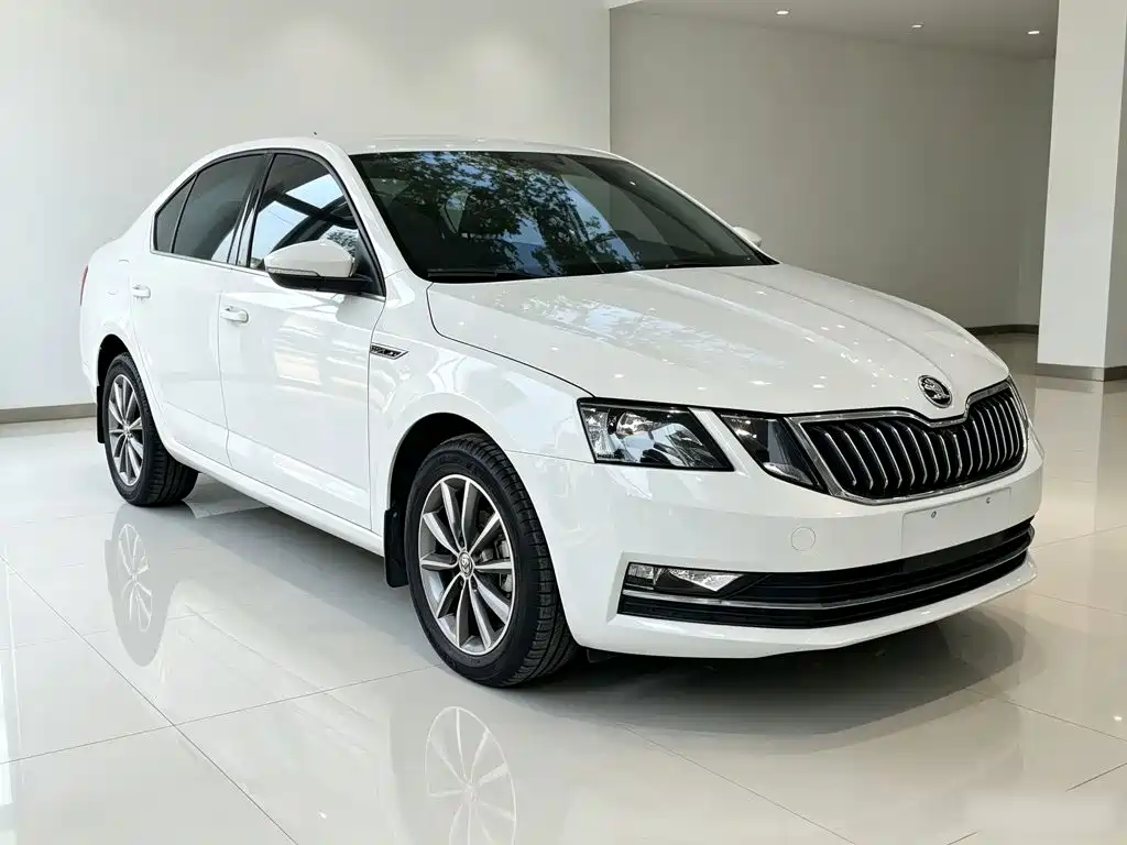 Octavia 2019 TSI230 DGSSenova Zhixing Comfort Edition National VI купить на сайте DeffCars