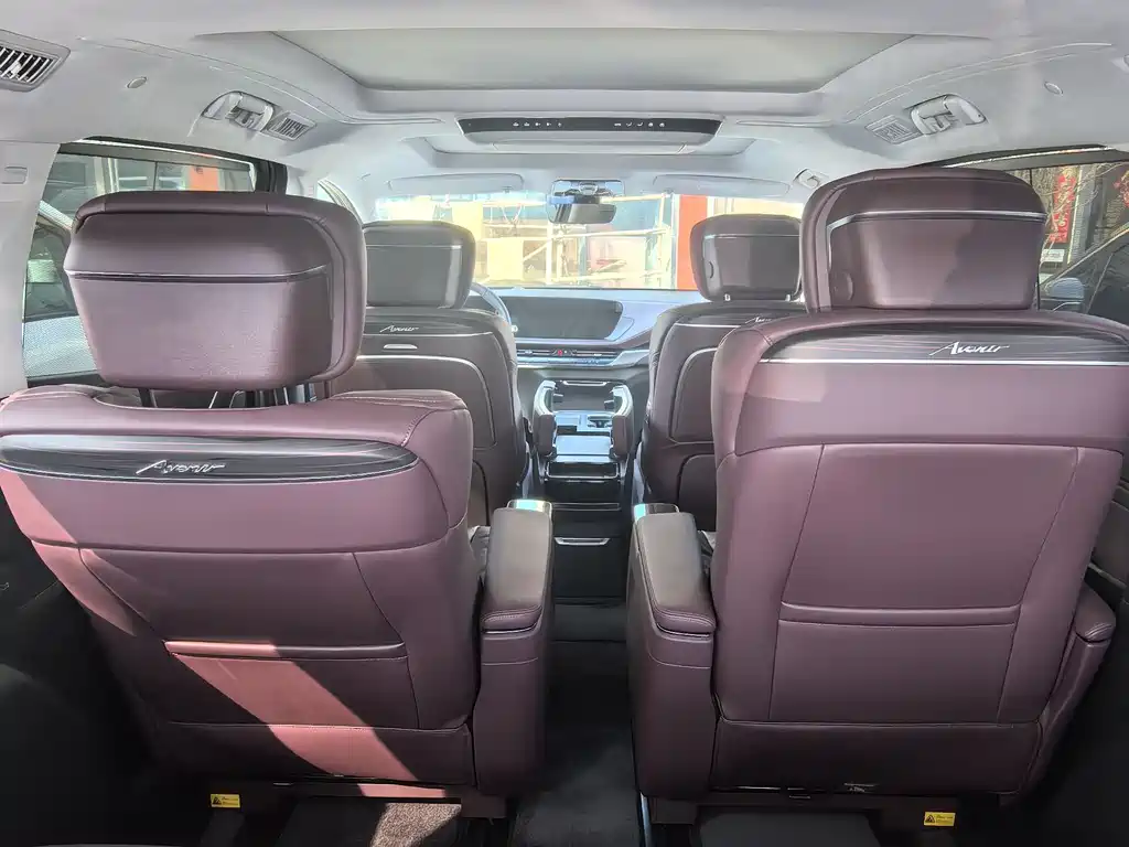 Century 2025 2.0T seven-seat Yuanshi Edition купить на сайте DeffCars