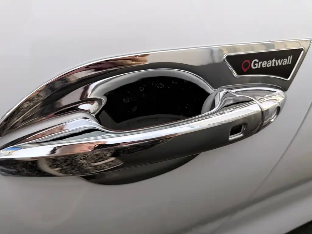 Cannon 2023 2.0T passenger version automatic gasoline four-wheel drive exclusive model GW4C20B купить на сайте DeffCars