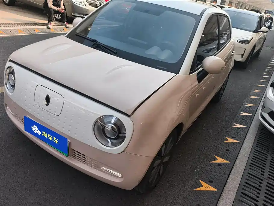 Euler Black Cat 2021 351km standard model купить на сайте DeffCars