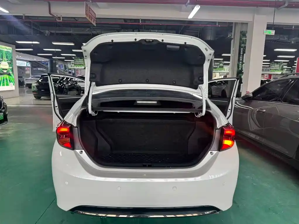 Ralink Shuangqing E+ 2019 1.8PH GS E-CVT Elite Edition купить на сайте DeffCars