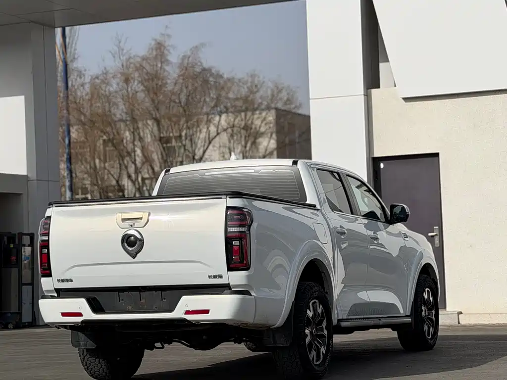 Cannon 2021 2.0T passenger global version automatic diesel four-wheel drive comfort standard box GW4D20M купить на сайте DeffCars