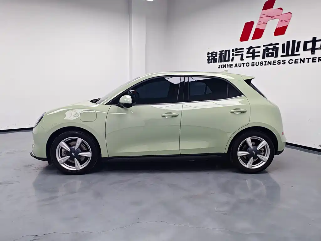 Euler Good Cat 2023 model 401km standard battery life luxury model lithium iron phosphate купить на сайте DeffCars