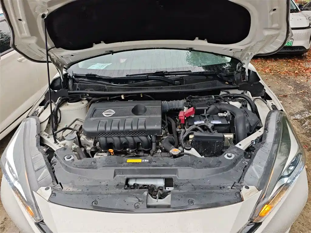 Bluebird 2019 1.6L manual cool version National VI купить на сайте DeffCars