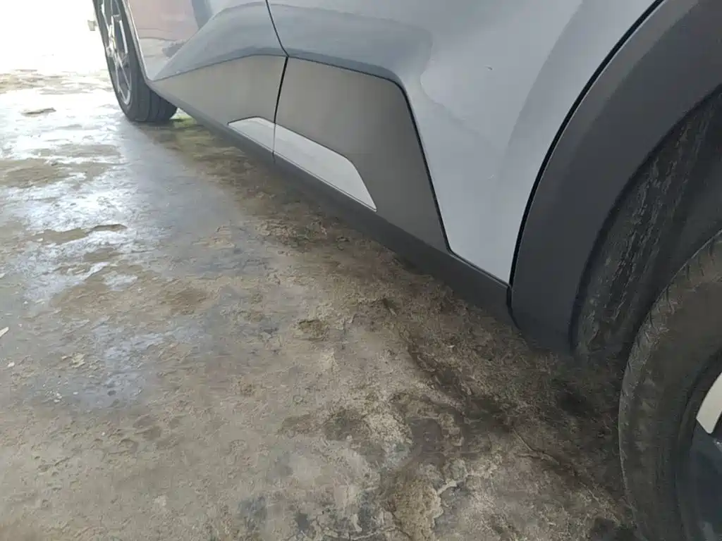 Seagull 2024 Honor Edition 305km Free Edition купить на сайте DeffCars