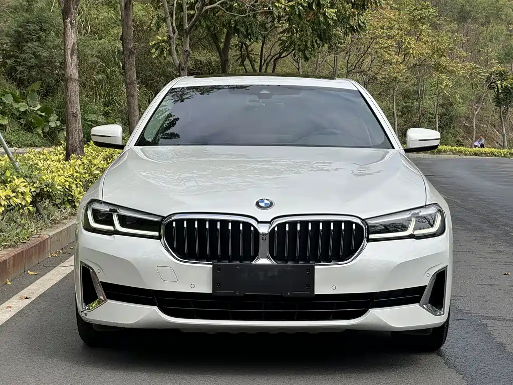 BMW 5 Series 2021 530Li Leading Luxury Package купить на сайте DeffCars