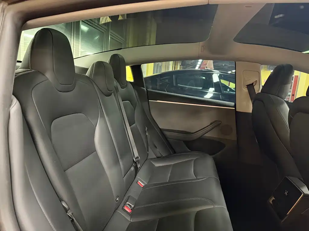 Model 3 2022 rear-wheel drive version купить на сайте DeffCars