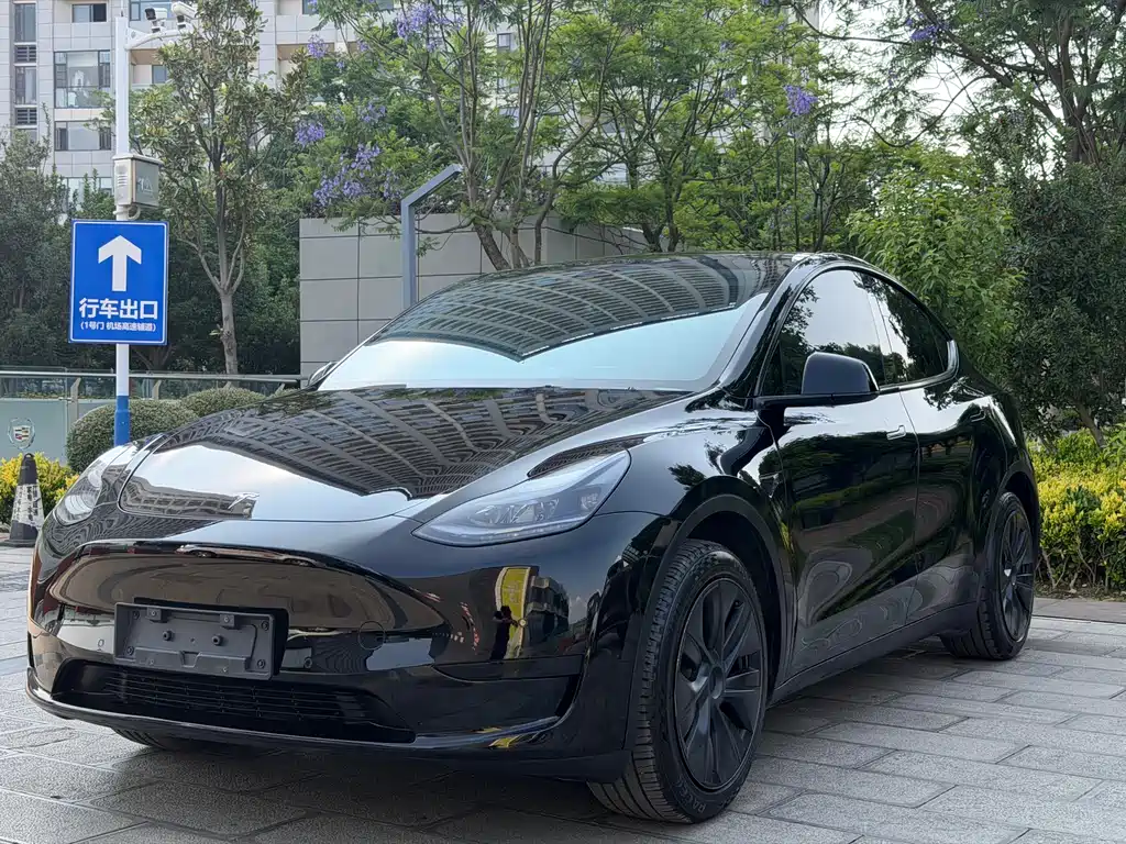 Model Y 2023 rear-wheel drive version купить на сайте DeffCars