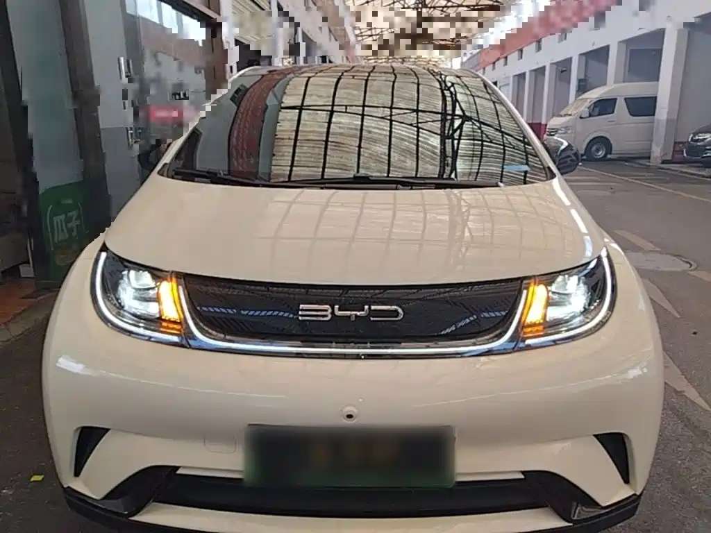 Dolphin 2021 405km Fashion Edition купить на сайте DeffCars