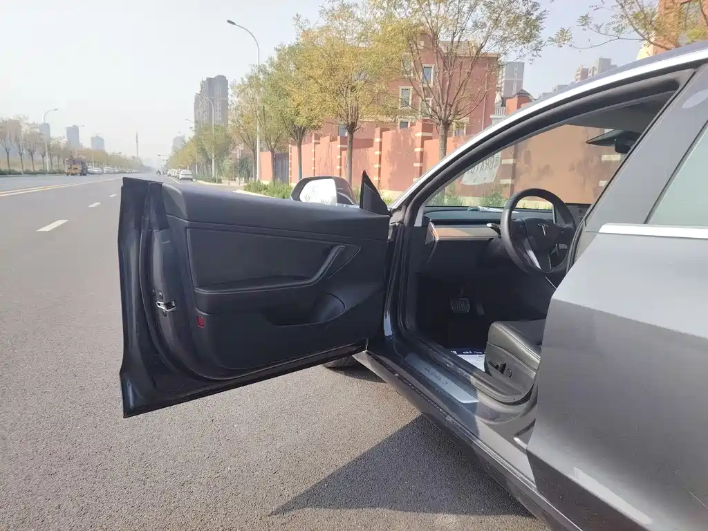 Model 3 2019 standard range rear drive upgraded version купить на сайте DeffCars