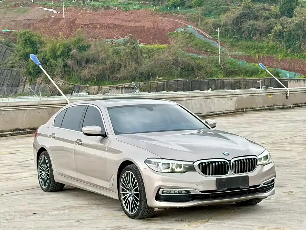 BMW 5 Series 2018 530Li xDrive Luxury Package купить на сайте DeffCars
