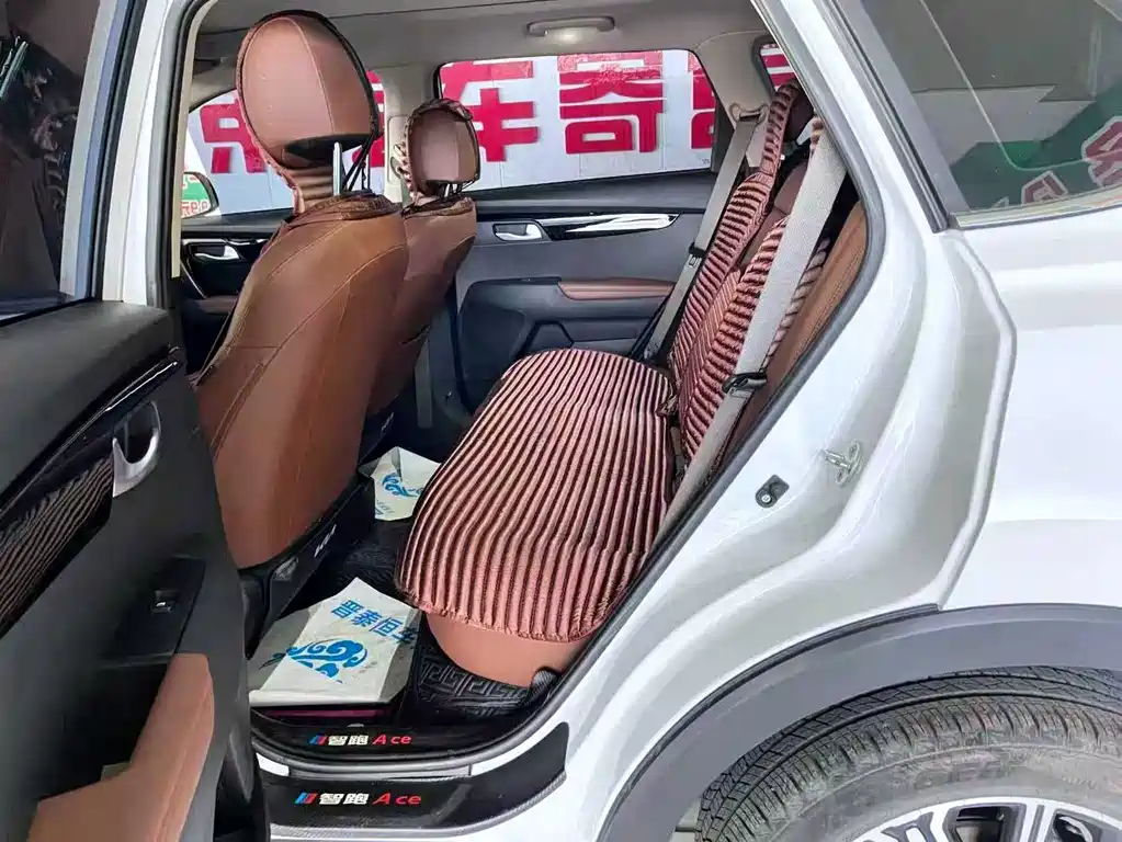 Zhipao 2021 Ace 2.0L Wonderful Edition купить на сайте DeffCars
