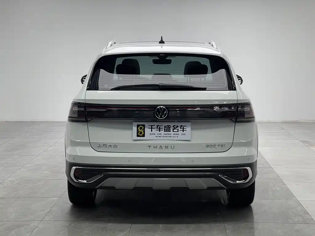 Tuyue 2023 300TSI two-wheel drive full moon version купить на сайте DeffCars