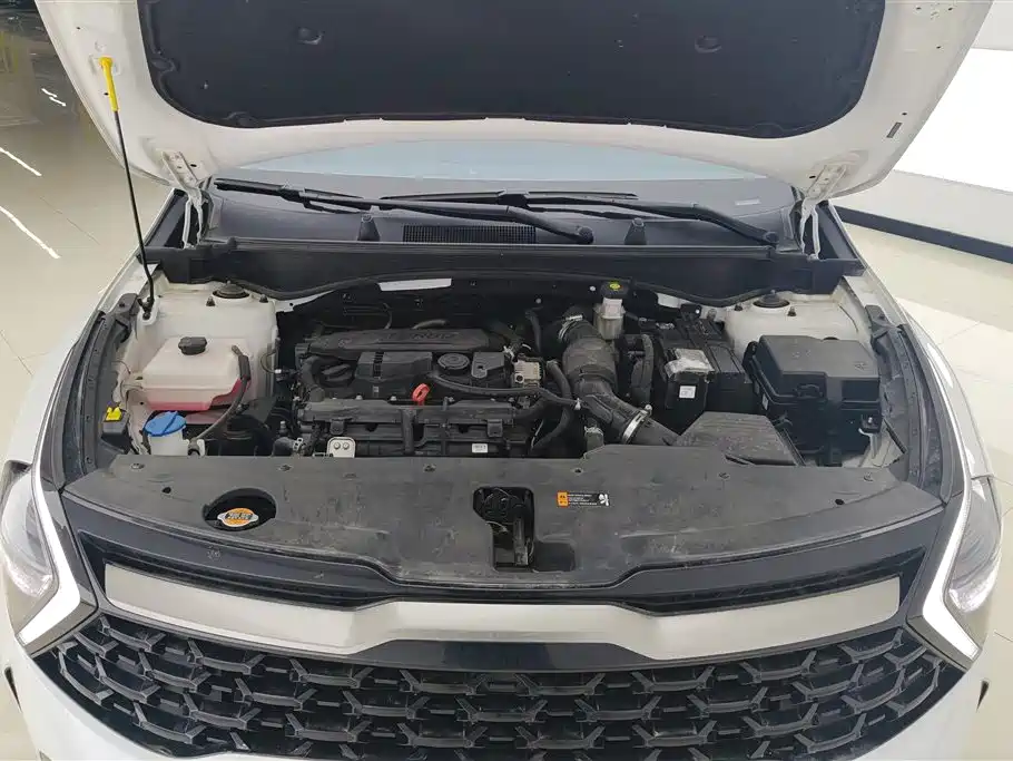 Lion Platinum Extension 2023 1.5T two-wheel drive premium version купить на сайте DeffCars
