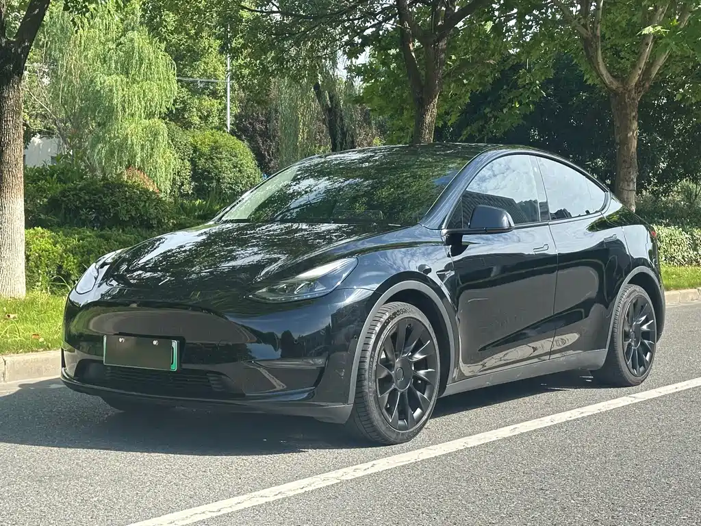 Model Y 2022 rear-wheel drive version купить на сайте DeffCars