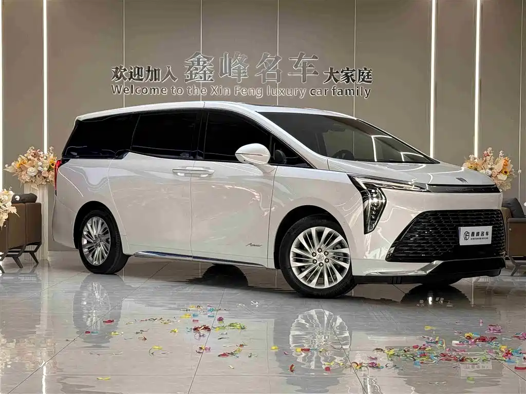 Century 2025 2.0T seven-seat Yuanshi Edition купить на сайте DeffCars
