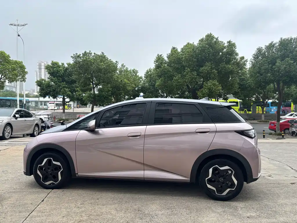 Dolphin 2021 405km Fashion Edition купить на сайте DeffCars