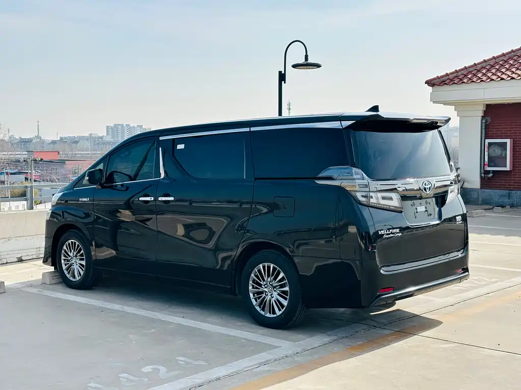Wilfa 2020 Shuangqing 2.5L Black Gold Limited Edition купить на сайте DeffCars
