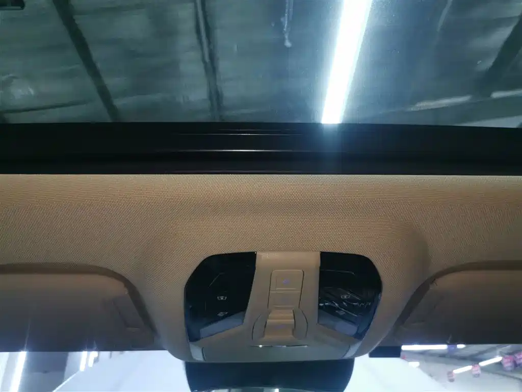 Pentium T99 2023 2.0T automatic premium model купить на сайте DeffCars