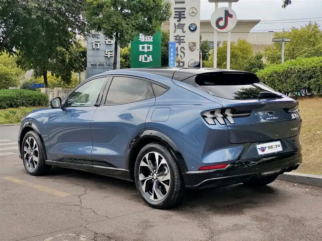 Ford E-horse 2021 Borderless rear-wheel drive luxury version with long battery life купить на сайте DeffCars