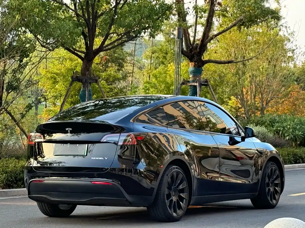 Model Y 2022 rear-wheel drive version купить на сайте DeffCars