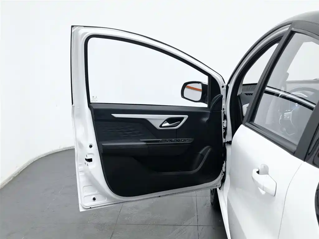 Flower Fairy 2022 Flower Fairy Style Gypsophila купить на сайте DeffCars