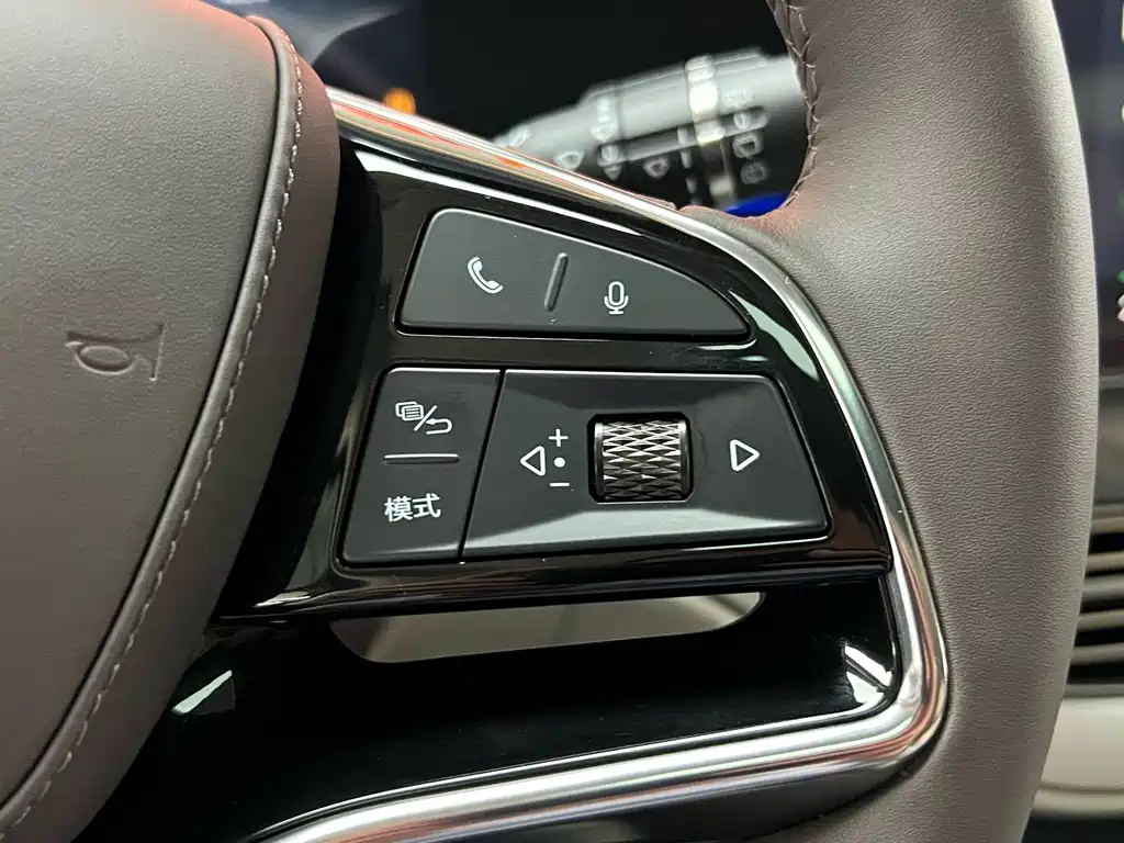 Denza D9 2024 DM-i 980 four-wheel drive premium model купить на сайте DeffCars