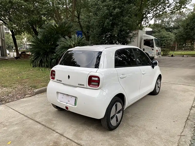 Euler Black Cat 2019 301km Standard Edition купить на сайте DeffCars