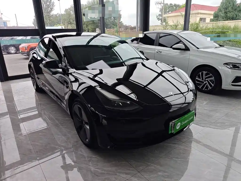 Model 3 2022 rear-wheel drive version купить на сайте DeffCars