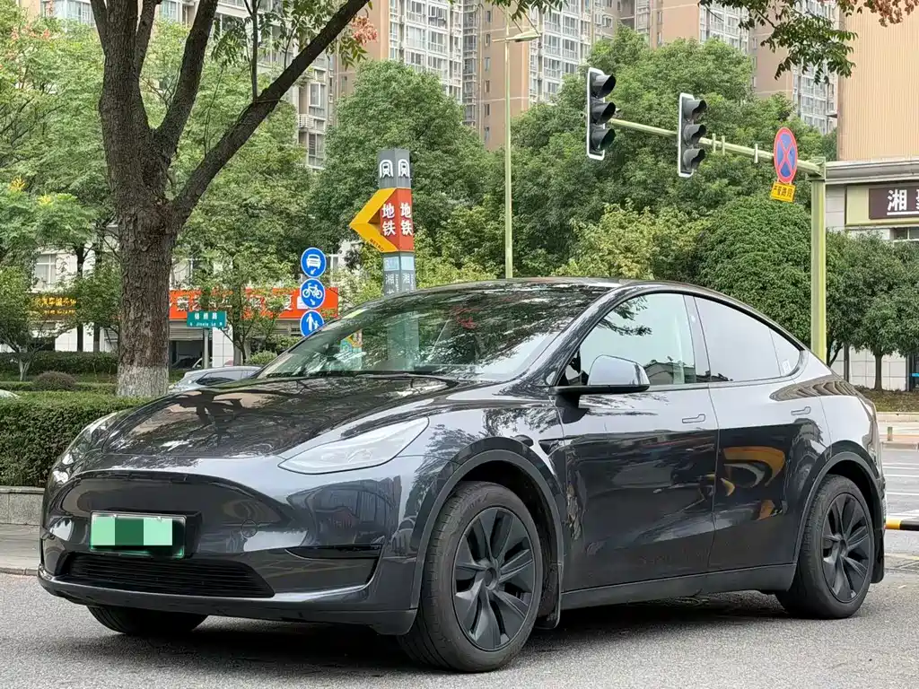 Model Y 2024 rear-wheel drive version купить на сайте DeffCars