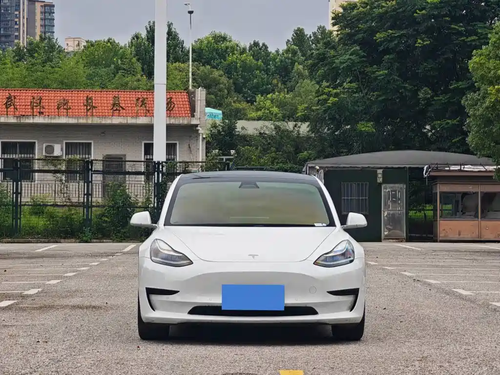 Model 3 2020 Standard Range Rear Drive Upgraded Version купить на сайте DeffCars