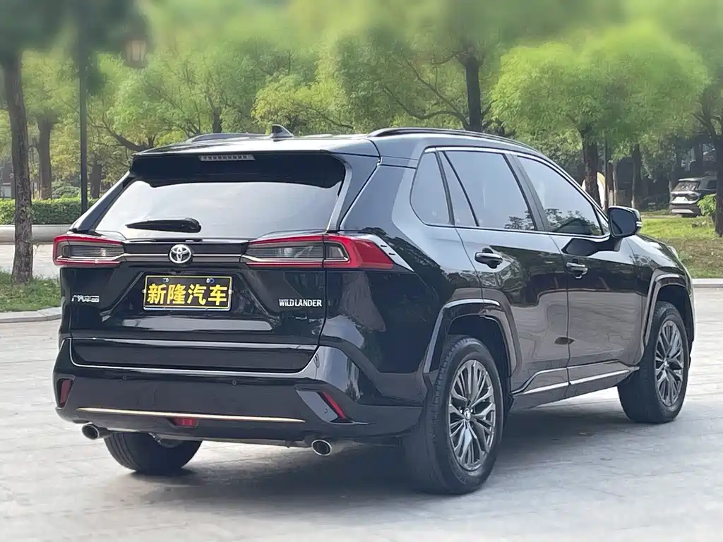 Wilanda 2024 2.0L CVT two-wheel drive luxury PLUS version купить на сайте DeffCars