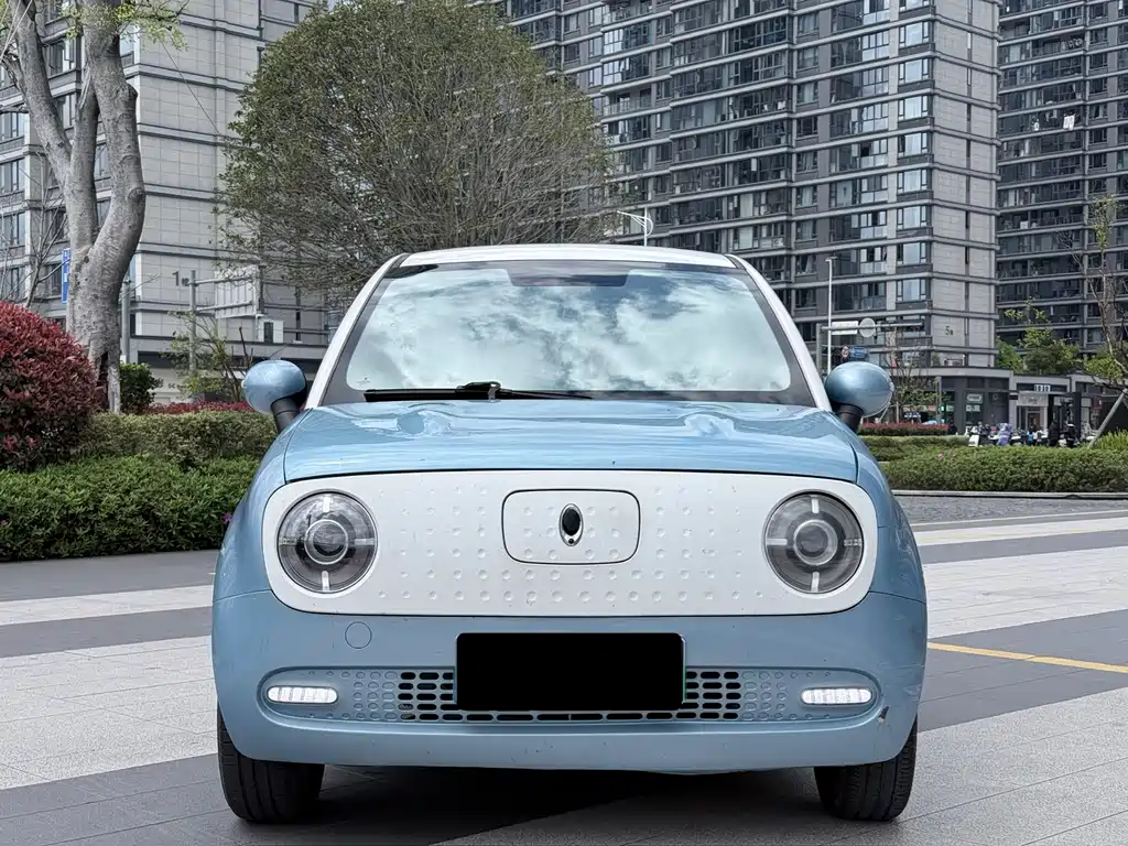 Euler Black Cat 2021 351km luxury model купить на сайте DeffCars