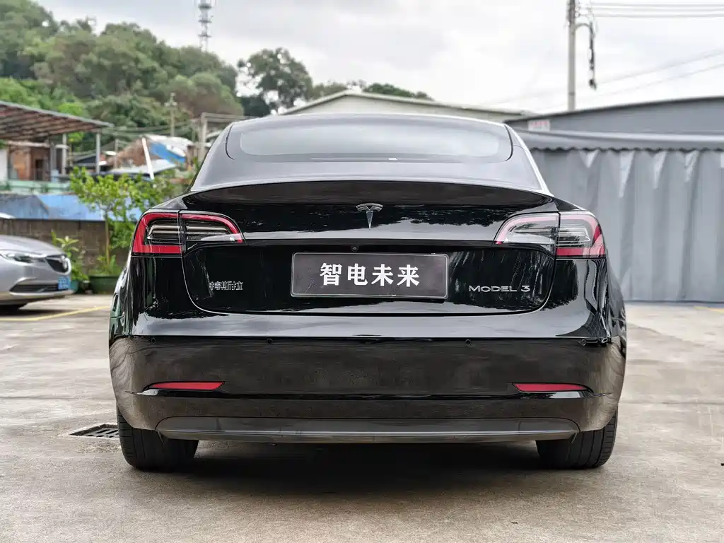 Model 3 2022 rear-wheel drive купить на сайте DeffCars