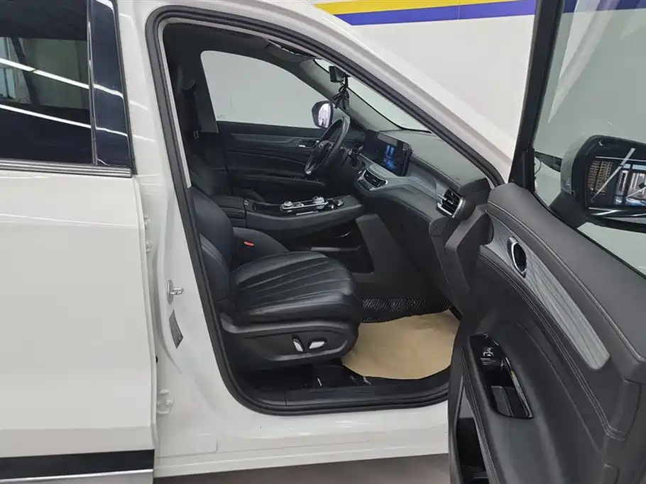 Lingyu 2021 EcoBoost 225 platinum collar type 6 seats купить на сайте DeffCars