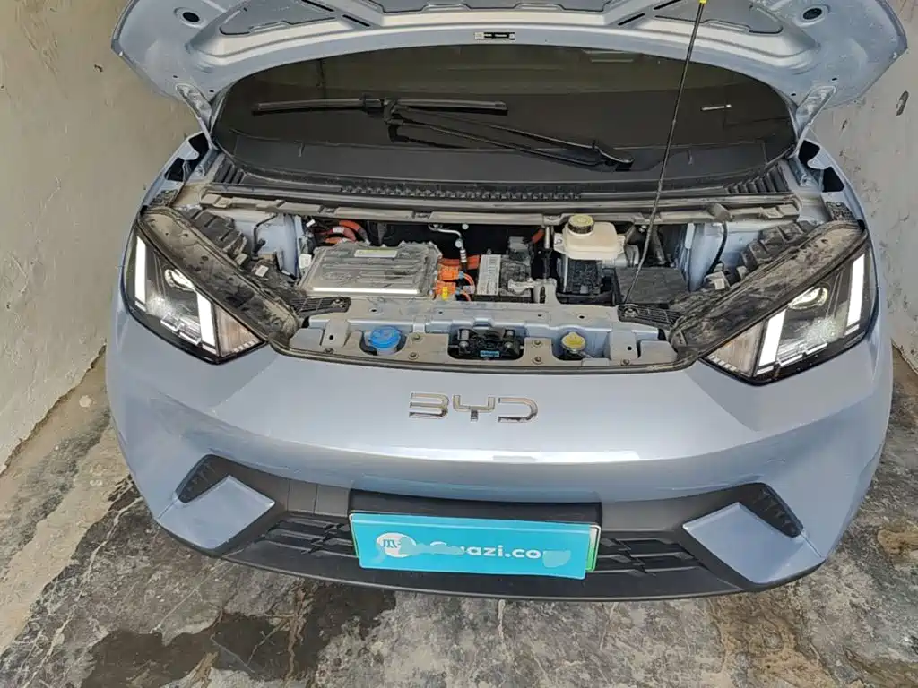Seagull 2024 Honor Edition 305km Free Edition купить на сайте DeffCars