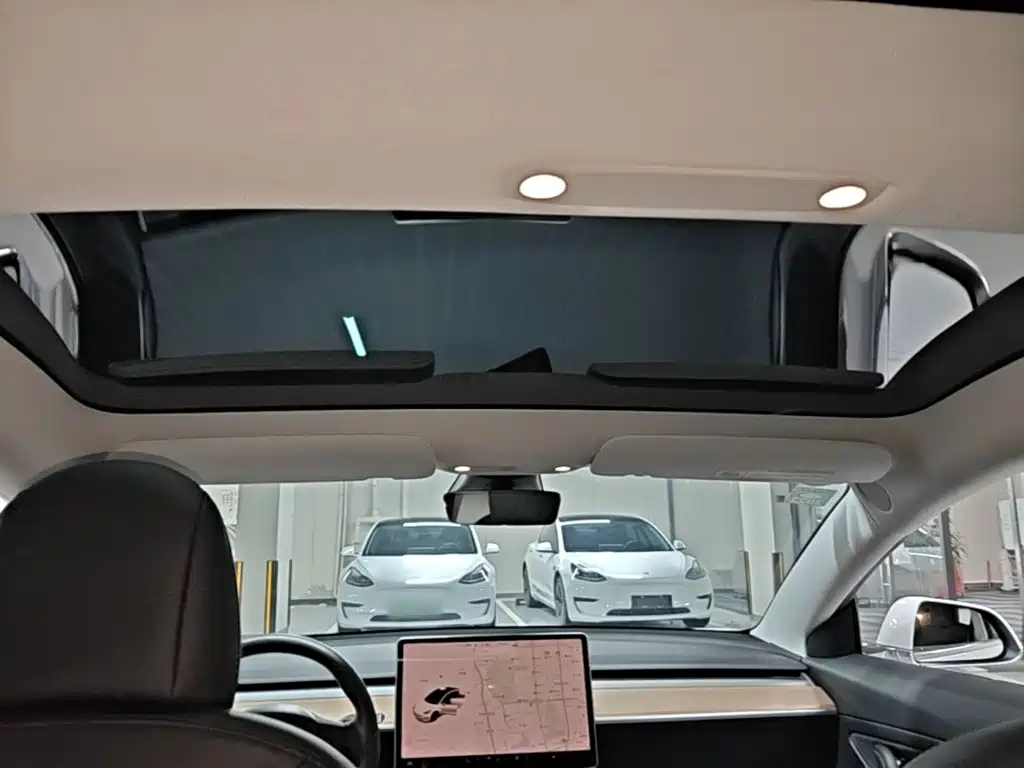 Model 3 2020 Standard Range Rear Drive Upgraded Version купить на сайте DeffCars