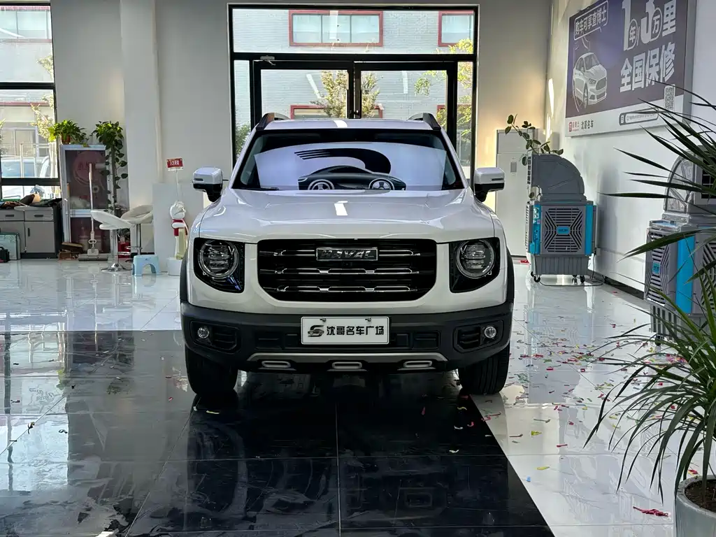 Havaldog 2022 1.5T DCT two-wheel drive Labrador version купить на сайте DeffCars