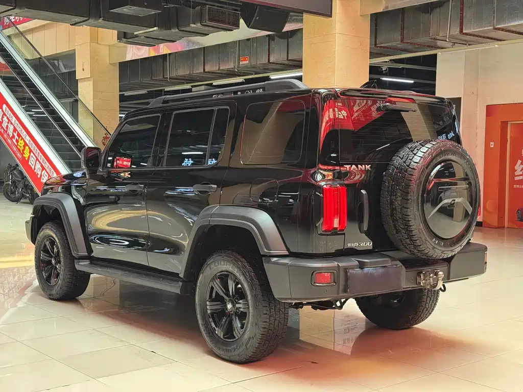 Tank 300 2021 Off-Road Version 2.0T Conqueror купить на сайте DeffCars