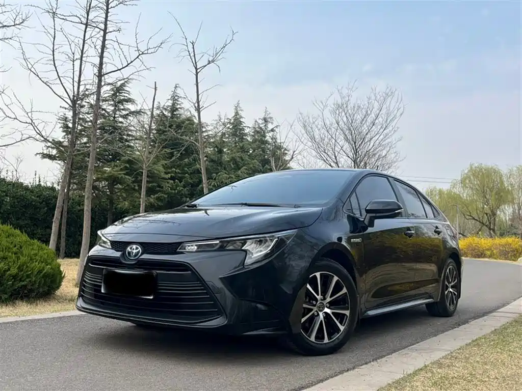 Ralink 2023 Intelligent Electric Hybrid Dual Engine 1.8L Leading Edition купить на сайте DeffCars