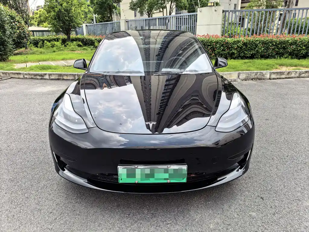 Model 3 2022 rear-wheel drive version купить на сайте DeffCars