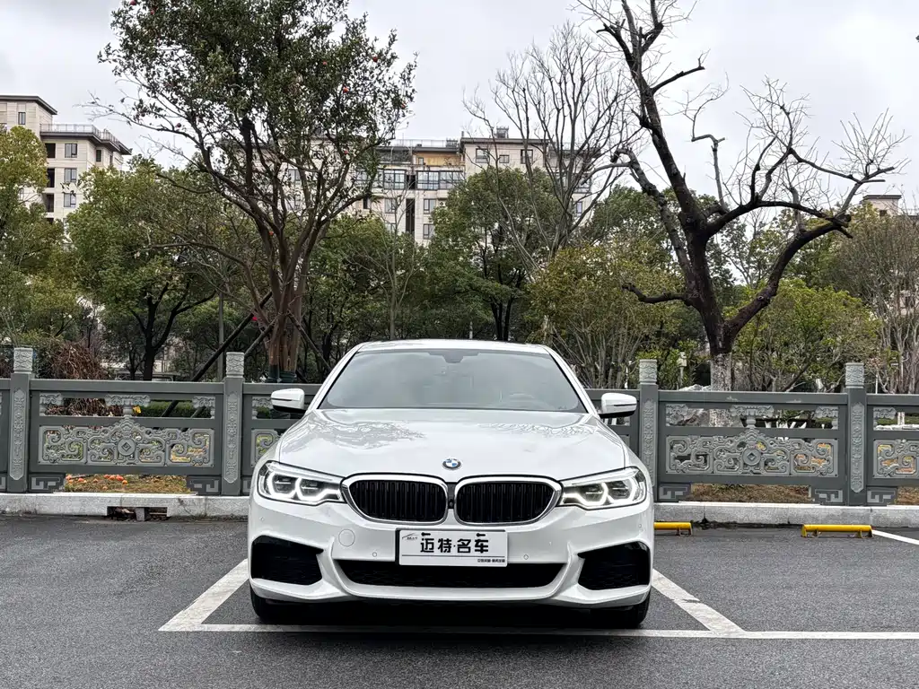 BMW 5 Series 2020 530Li Exclusive M Sports Package купить на сайте DeffCars